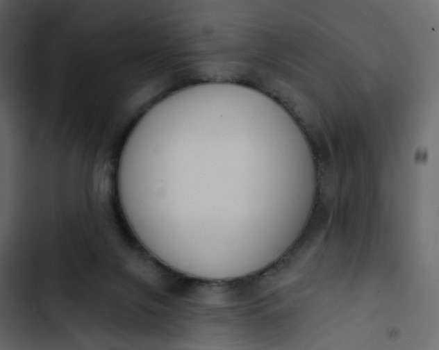 X0000102850071200809021411