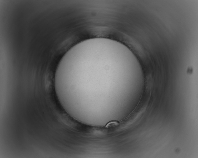 X0000102850073200809021411