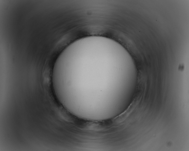 X0000102850074200809021411