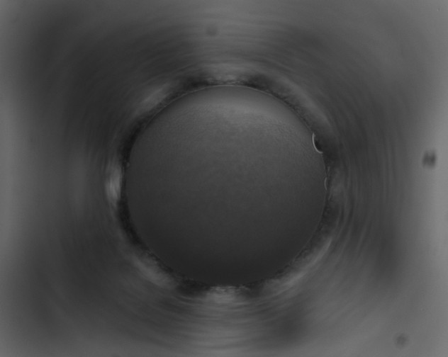 X0000102850076200809021411