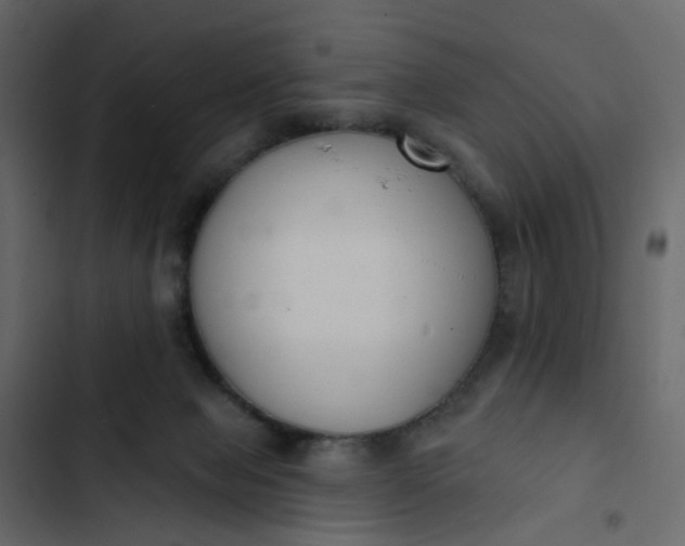 X0000102850077200809021411