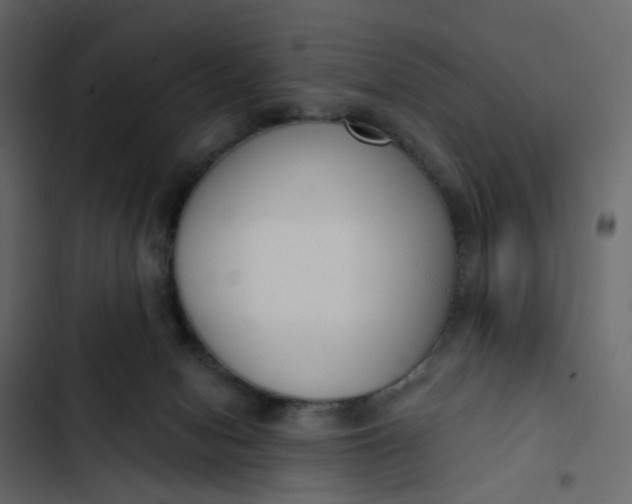 X0000102850078200809021411