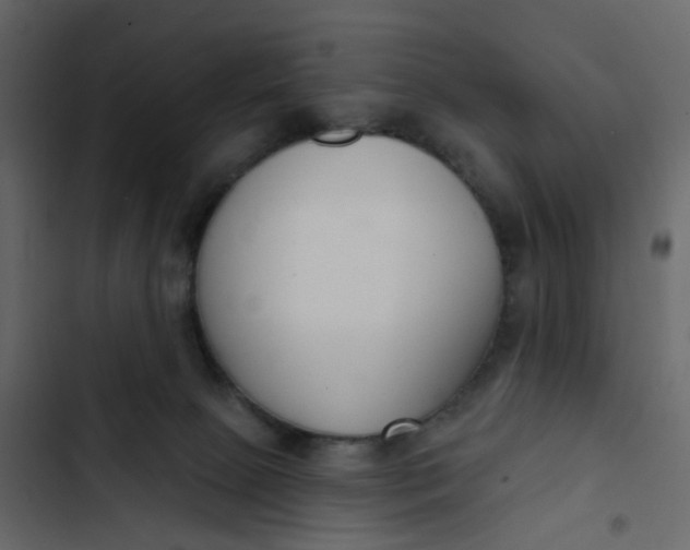 X0000102850081200809021411