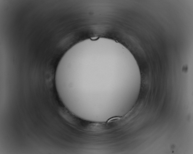 X0000102850082200809021411