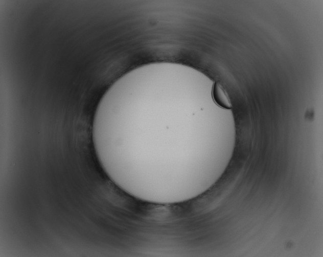 X0000102850083200809021411