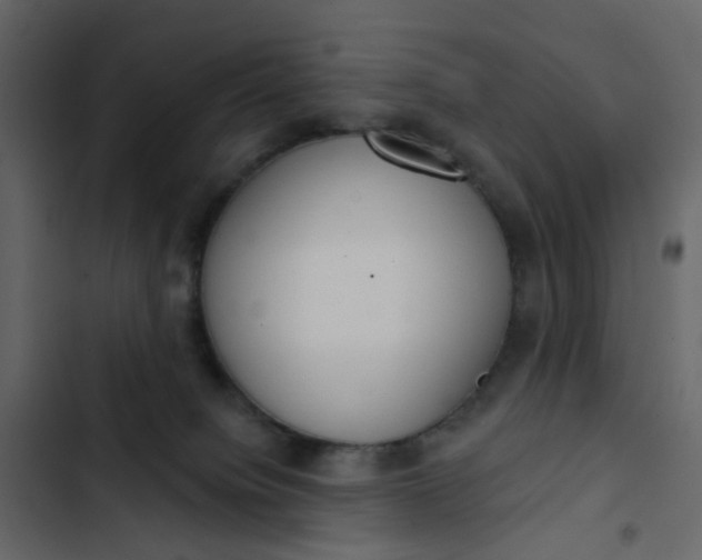 X0000102850084200809021411