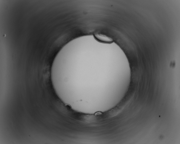 X0000102850085200809021411