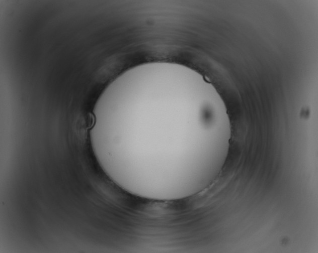 X0000102850086200809021411