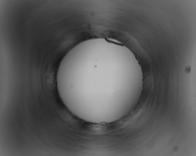 X0000102850088200809021411