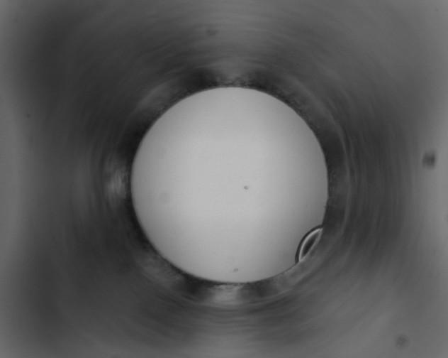 X0000102850090200809021411