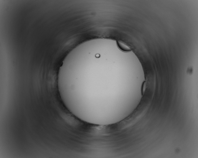 X0000102850092200809021411