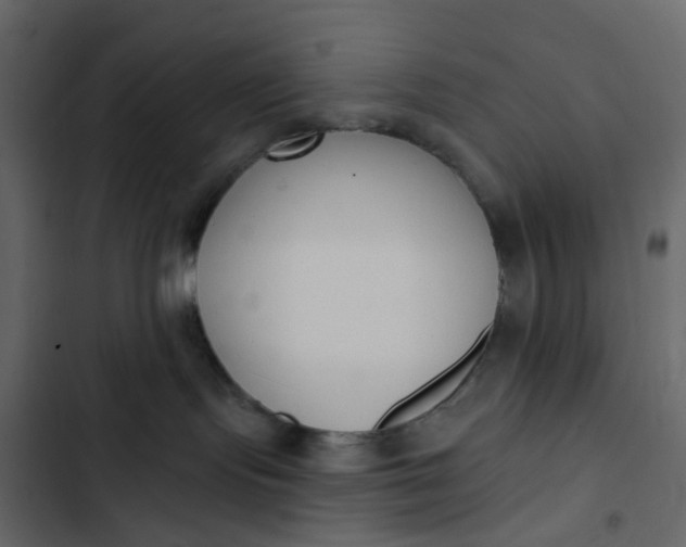 X0000102850095200809021411