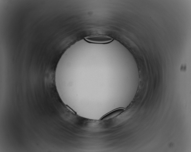 X0000102850096200809021411