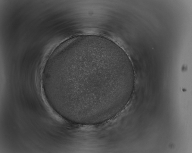 X0000102850097200809021410