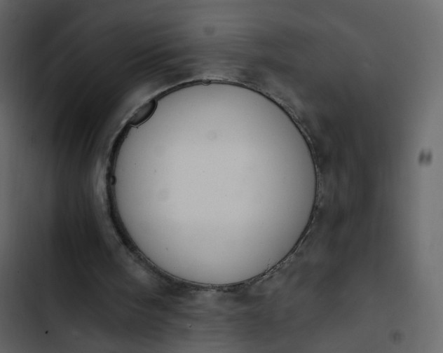 X0000102850098200809021410