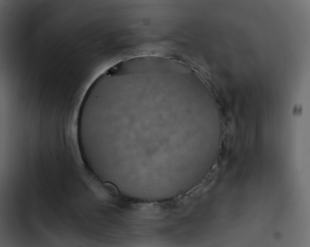 X0000102850100200809021410