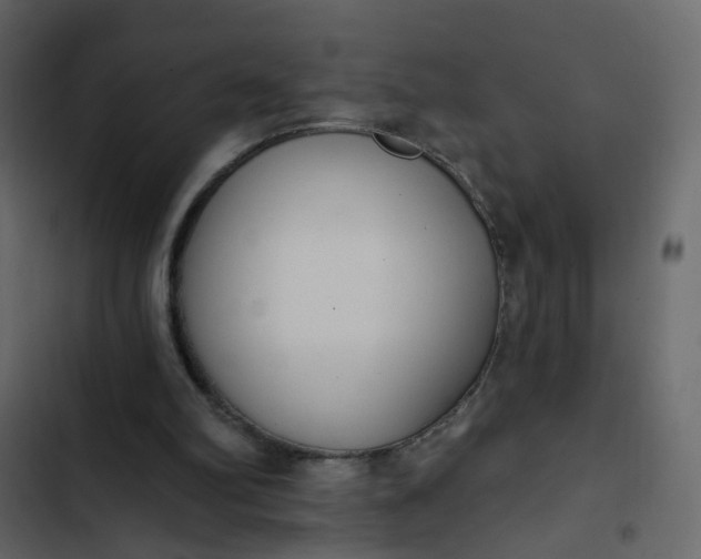 X0000102850102200809021410