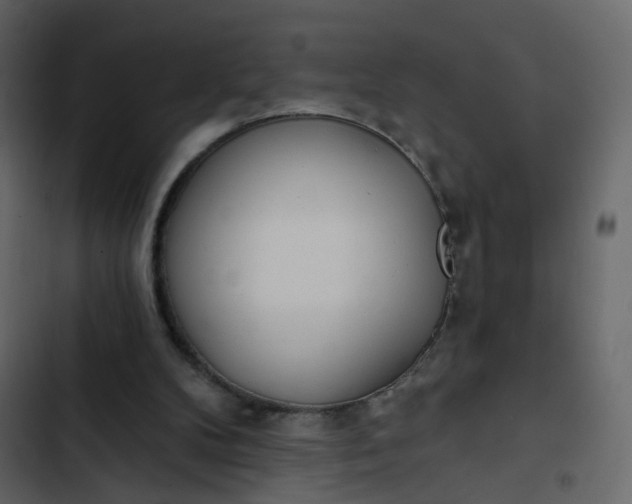 X0000102850104200809021410