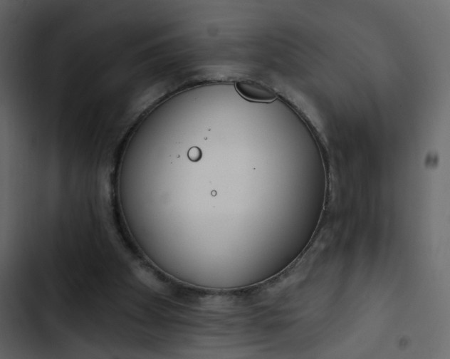 X0000102850105200809021410