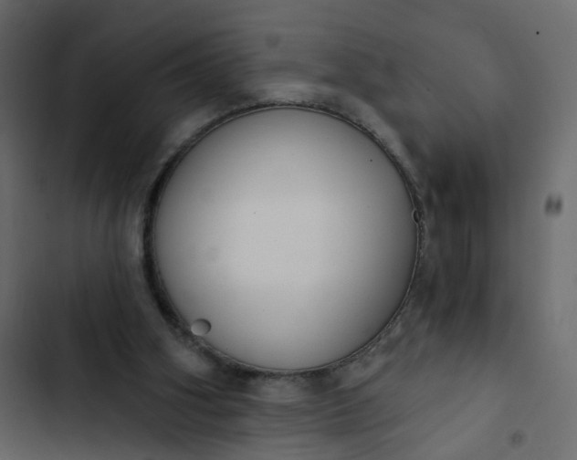 X0000102850106200809021410