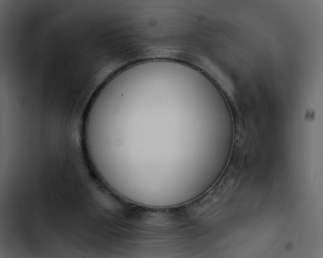 X0000102850107200809021410