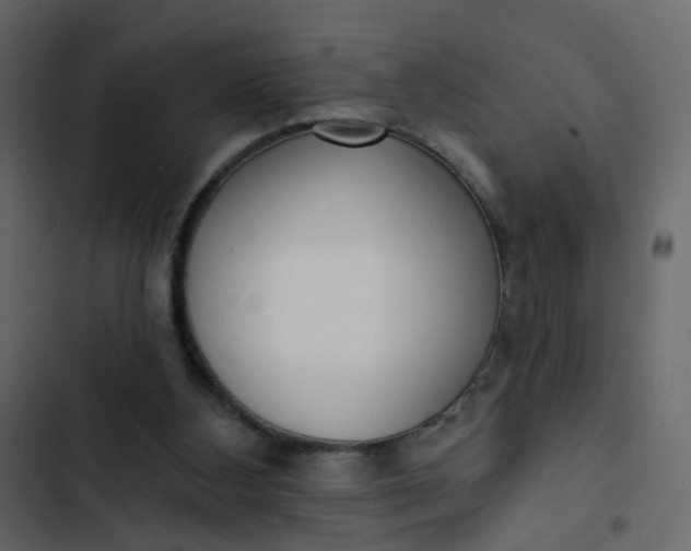 X0000102850108200809021410