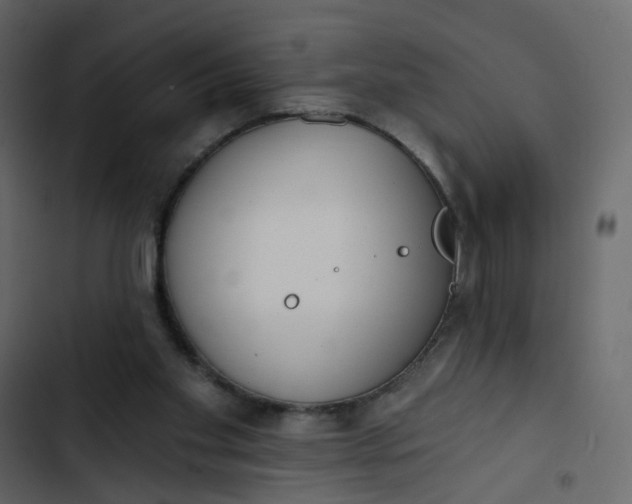 X0000102850109200809021410