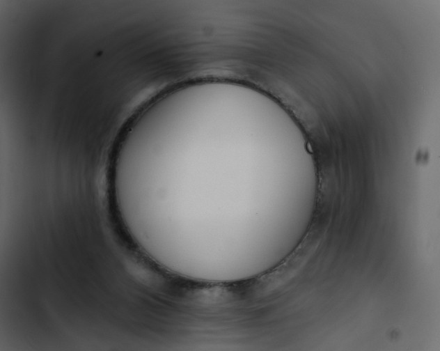 X0000102850112200809021410