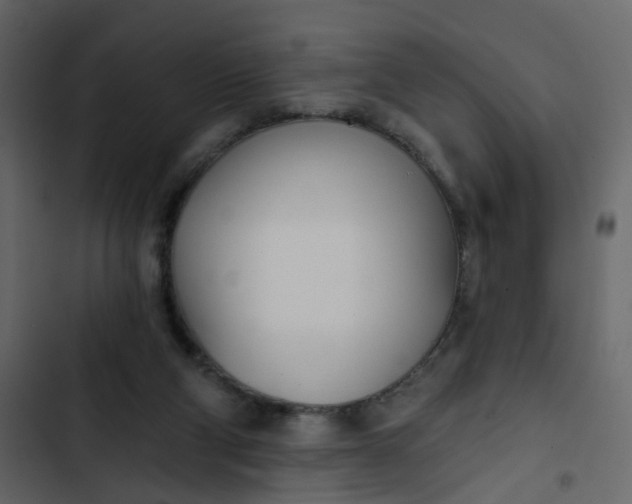 X0000102850114200809021410