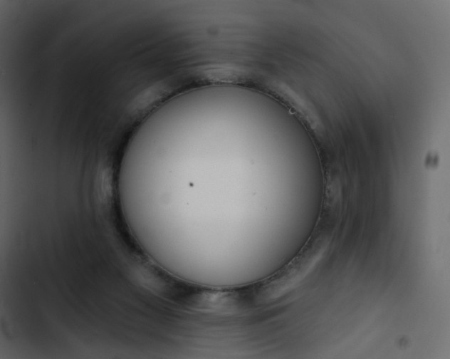 X0000102850117200809021410