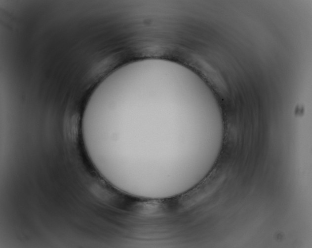 X0000102850118200809021410