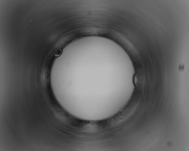 X0000102850119200809021410