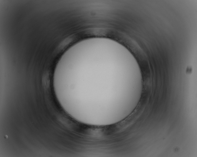 X0000102850120200809021410