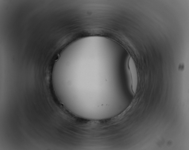 X0000102850124200809021410