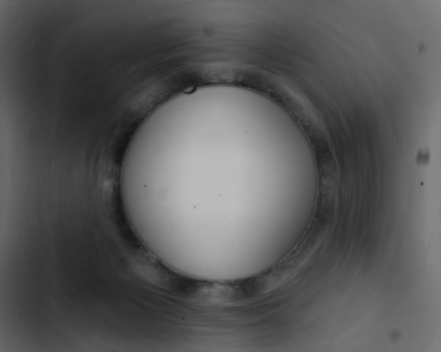 X0000102850125200809021410