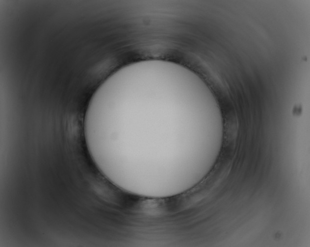 X0000102850126200809021410