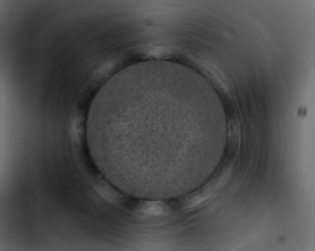 X0000102850127200809021410