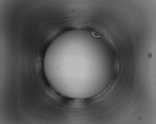 X0000102850128200809021410