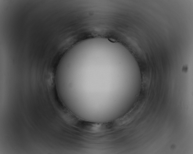 X0000102850130200809021410