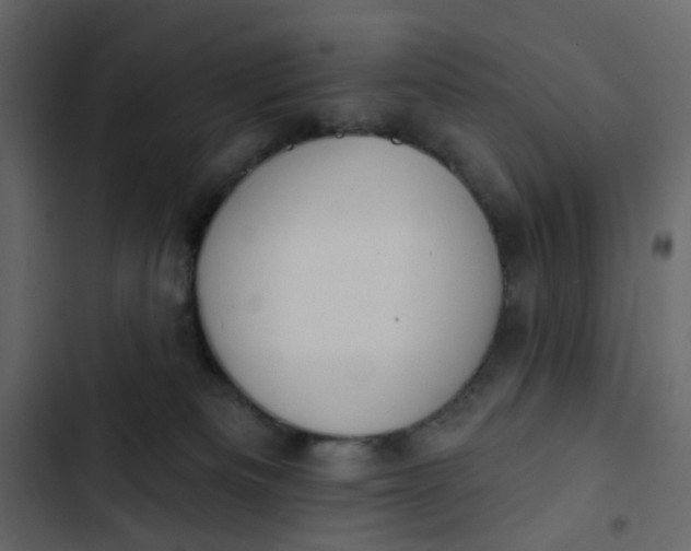 X0000102850133200809021410