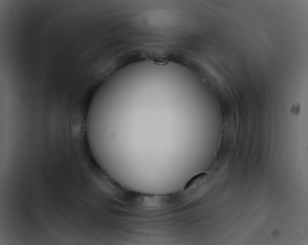 X0000102850134200809021410