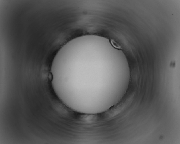 X0000102850135200809021410