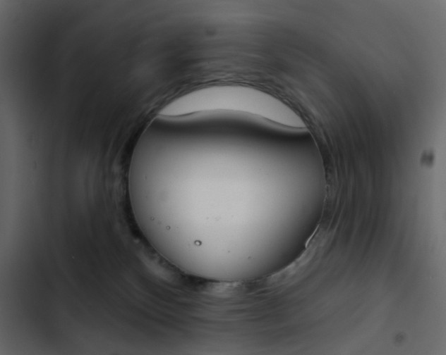 X0000102850136200809021410