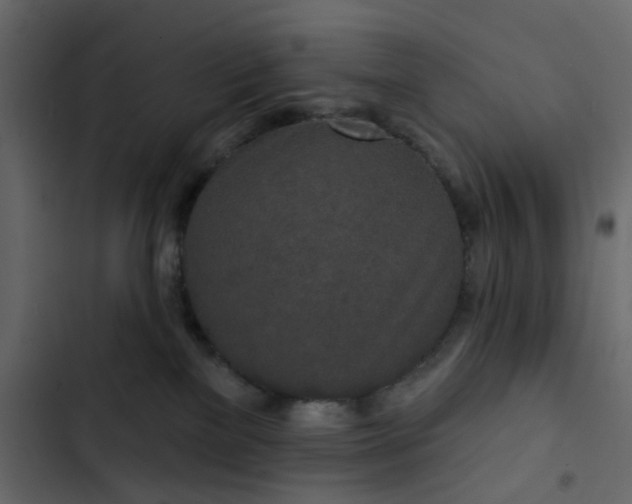 X0000102850137200809021410