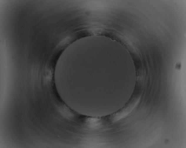 X0000102850139200809021410