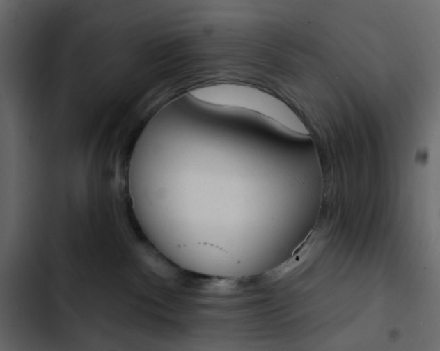 X0000102850140200809021410