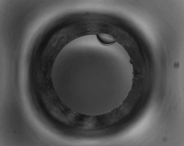 X0000102850143200809021410