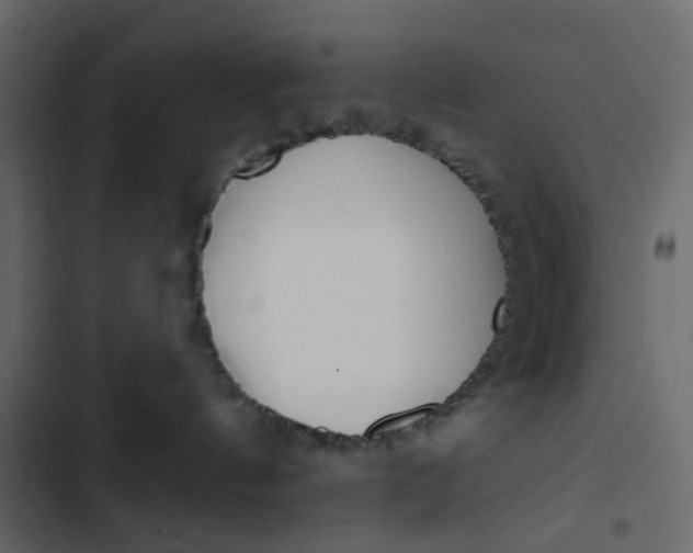 X0000102850144200809021410