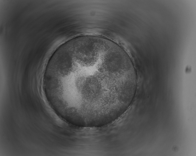 X0000102850145200809021409