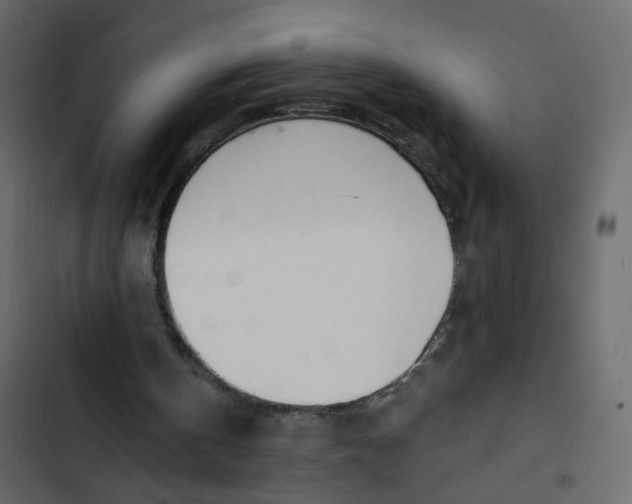 X0000102850146200809021409